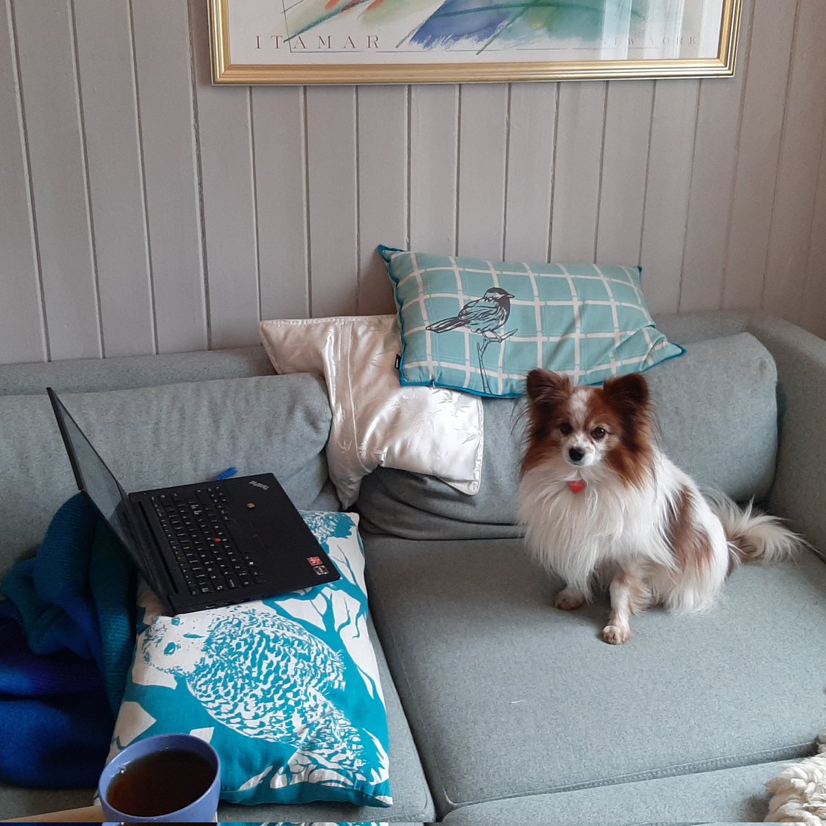 ArchaeologistsEngage tweet media