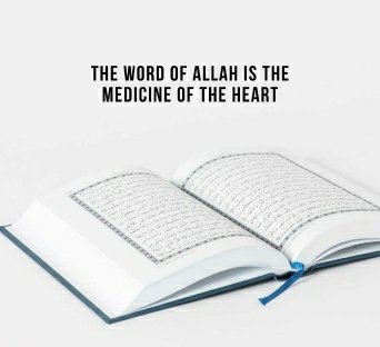 Renata564's tweet photo. Bismillah,
Come to prayer
Come to success
Prayer Is Better Than Sleep
Allah is The Greatest
#Fajr
#WordOfAllah https://t.co/rGeqcWYEhC