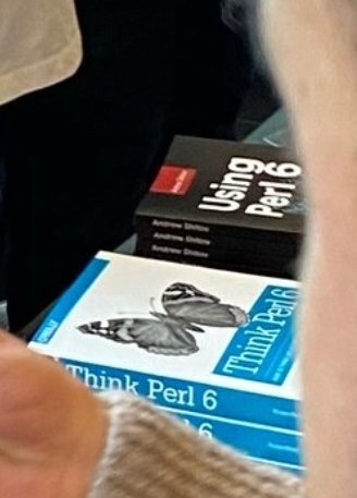 lenaing's tweet image. OH. MY. GOD. There is a dead walking here ! 🥲 #Perl6 #IThoughtItWasn&apos;tPerlAnymore