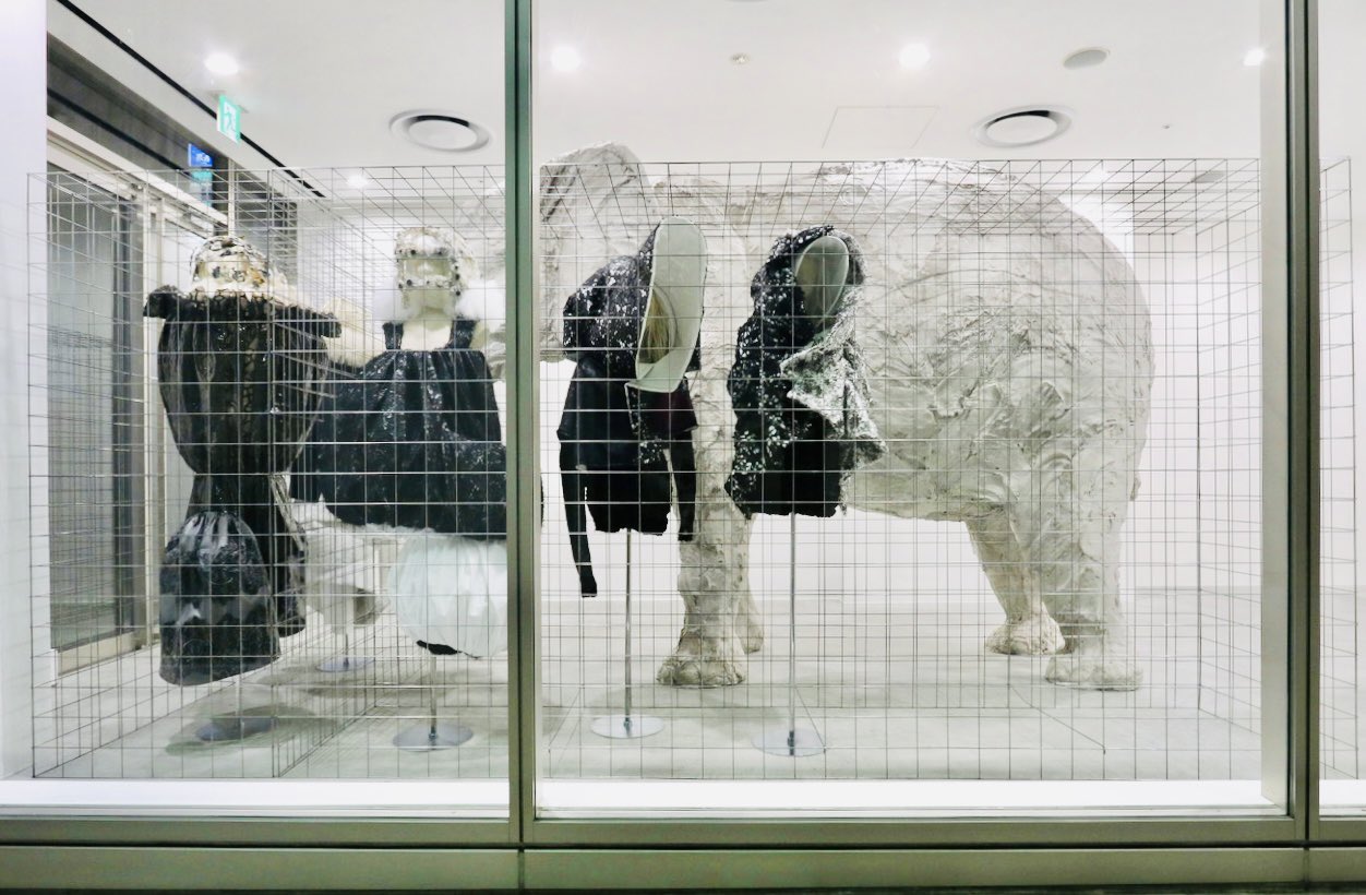 DSM GINZA DSMGINZACDG X