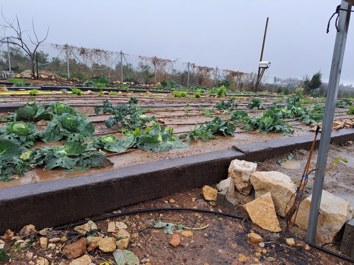 DrJohnErus's tweet photo. I visited farms In Israel to understand the technology for climate smart agriculture. https://t.co/9zMrl2EehS