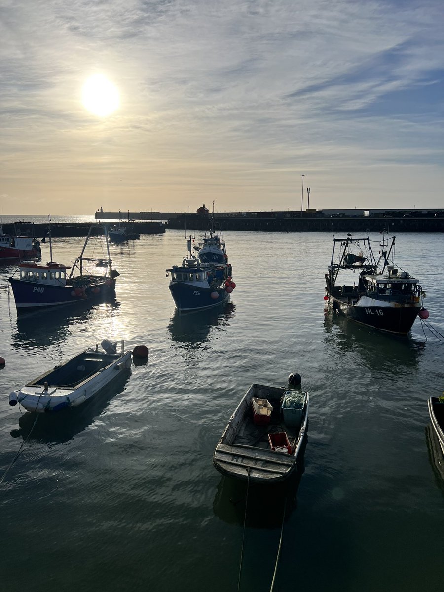 DollyHPN's tweet photo. What a beautiful morning βοΈ
After being stuck in all week I appreciated this walk so much. Felt good to get some fresh air in my lungs & stretch my legs again π₯Ύπ
#getoutside #rambler #sundaystomp #seaside #folkestone https://t.co/REoLK34E4D
