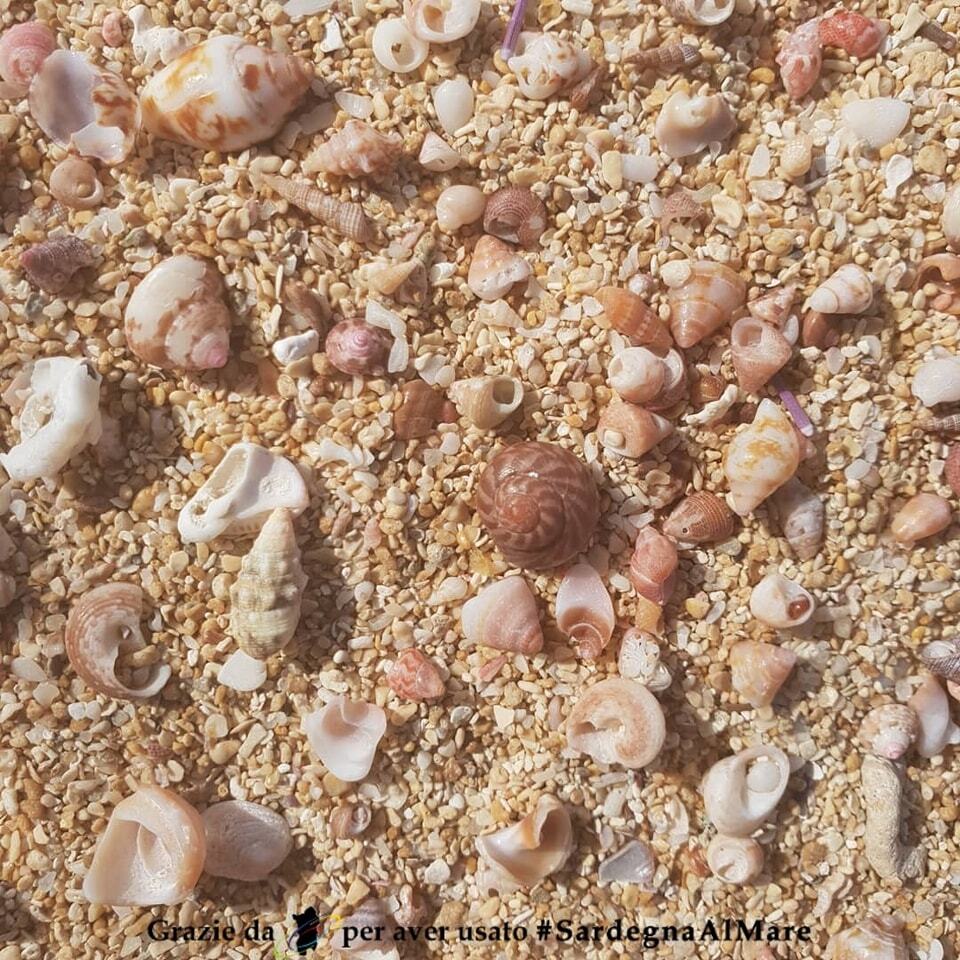 SardegnaAlMare's tweet photo. From https://t.co/EqygCc0KOy
Spiaggia Sa Mesa Longa, San Vero Milis ๐ ๐ ๐ # SardegnaAlMare #spiaggia #sardegna #sardinia #ichnusa #SaMesaLonga #SpiaggiaSaMesaLonga #sanveromilis #sanveromilisrules #oristano #oristanocity #igeroristano #instaoristano #volgooristano #instasaโฆ https://t.co/ece9RZtYTS
