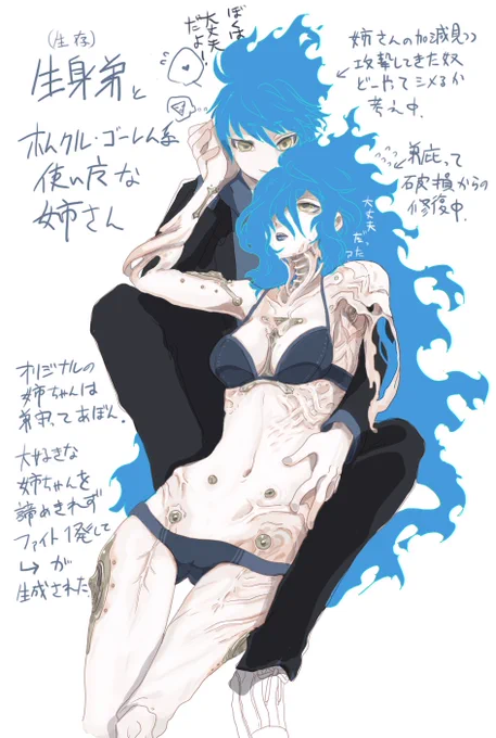 生き残った生身🔥と人造使い魔な姉とかいう趣味の煮凝り。 