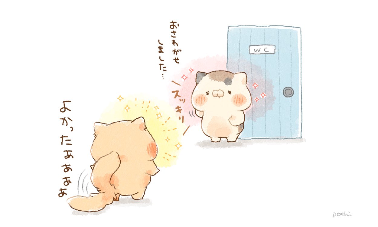 ぽち🐱となりのにゃんこ on X: 