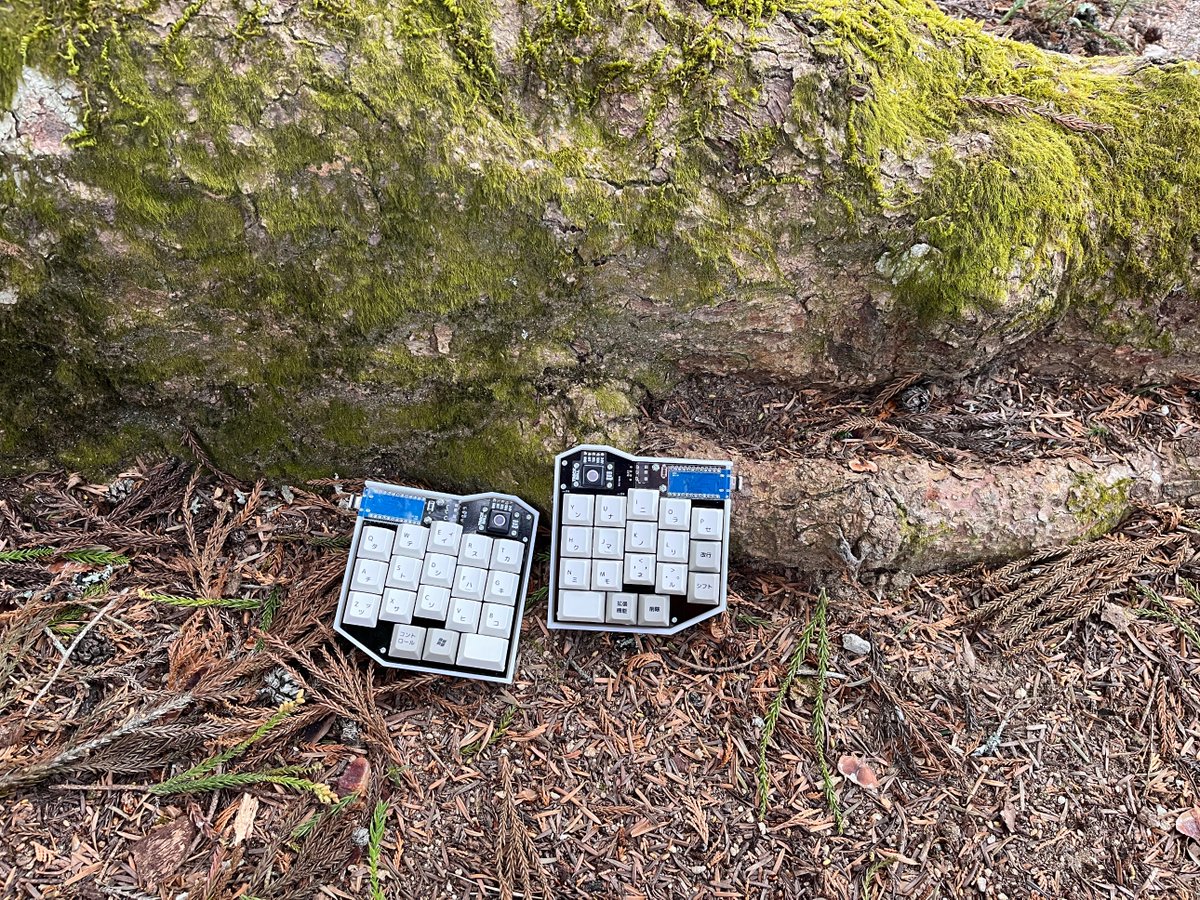 0002ozlet's tweet photo. Title:大きな木の下に小さいキーボード
Keyboard:cool536
Keyswitch: JWK JWICK フルナイロンT1タクタイルスイッチ
Keycap:Simple JA
#俺キー #KEEB_PD #KEEB_PD_R134 #自作キーボード #cool536 https://t.co/sMGbQFeXvB