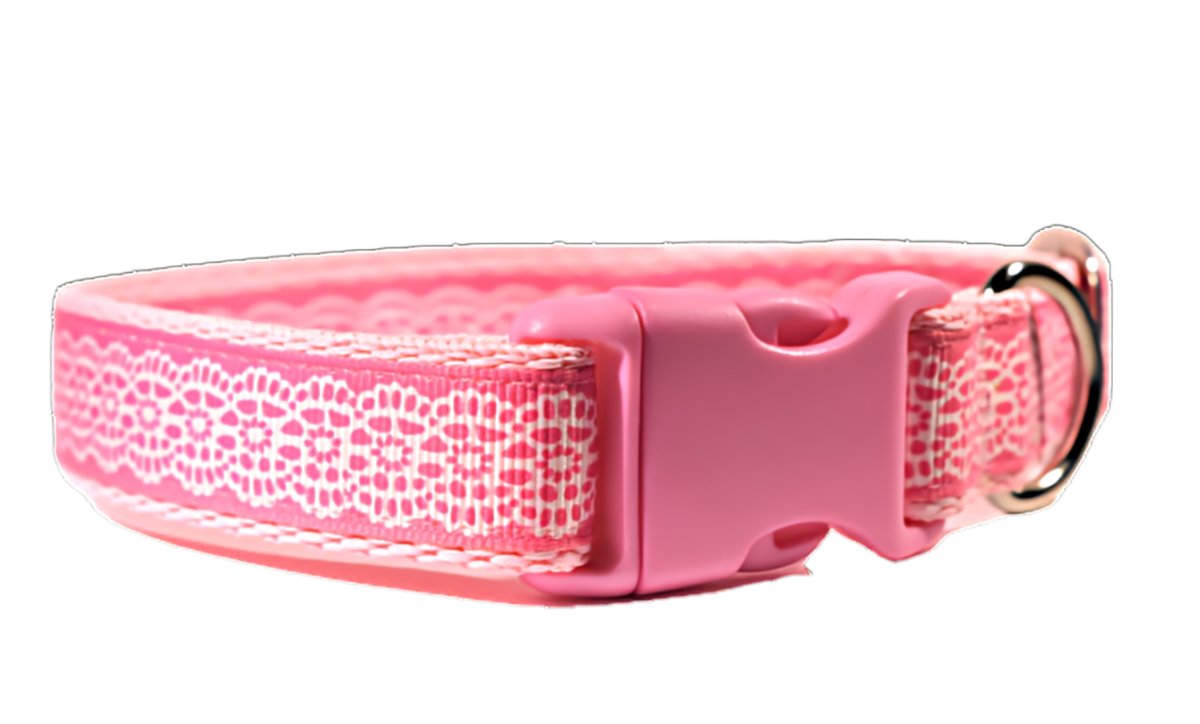 BonLovesCollars's tweet photo. Check out Dog Puppy Collar, Lace effect On Baby Pink, Small and Medium Dogs, Adjustable https://t.co/h4mq4fhTgK #eBay via @eBay_UK https://t.co/WFoI5ZWdMx