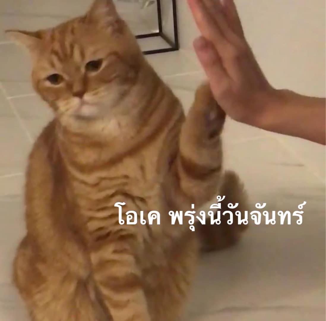 •บาร์จเฉยๆ• tweet media