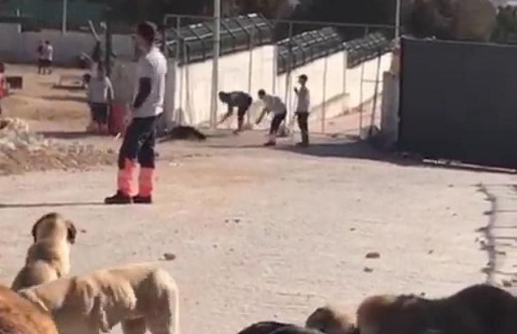 Kürekle öldürülen köpeğe sahip çıkan Bahçeli, silahla öldürülen iki kız babası ülkü ocakları başkanı Sinan Ateşe sahip çıkmadı. Ülkücülük bu mu?