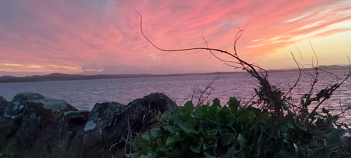 The sky over Strangford Lough last night (with the Mournes in the distance).
It was so unusual  and absolutely beautiful.
#ArdsPenninsula
#StrangfordLough
#CountyDown
#Ireland 
#NorthernIreland 
#nature
