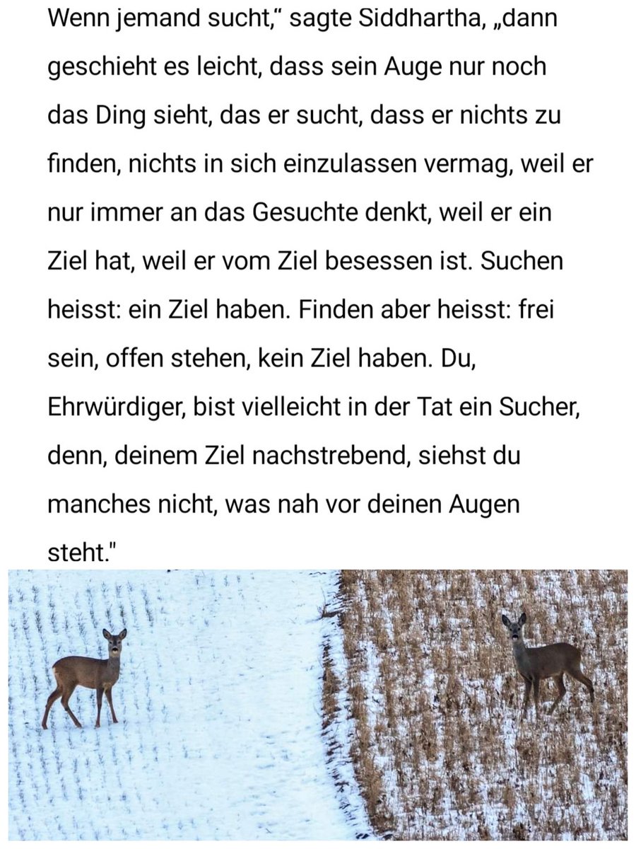 Hermann Hesse * Foto Jeno Major <a href="/claib/">Christoph Laib</a> <a href="/unikatRadel/">Radel</a>