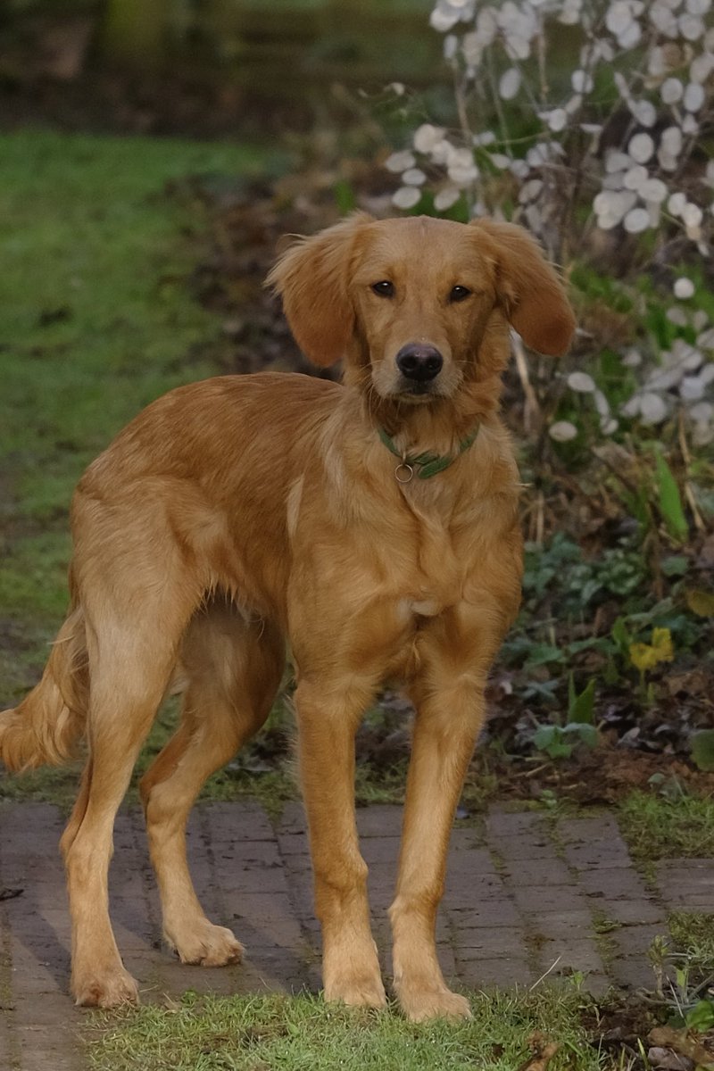 Monty Don tweet media