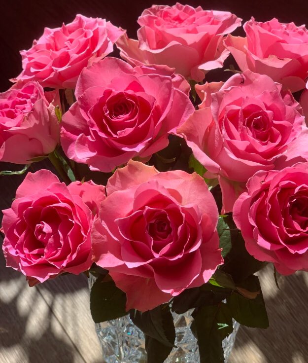 piinkibun's tweet image. 