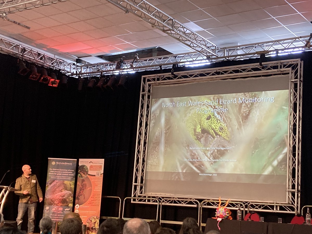RachaelCooBoh's tweet photo. Day 2 #HWM2023 #MandyCartwright and #LiamBlazey give us an overview #natterjack and #sandlizard reintroductions @ARC_Bytes @DenbighshireCC @ARGroupsUK @ConservOptimism #habitatmanagement #monitoring  #breedingsuccess 🦎 🐸💪🏽 https://t.co/bL5rMan8J2
