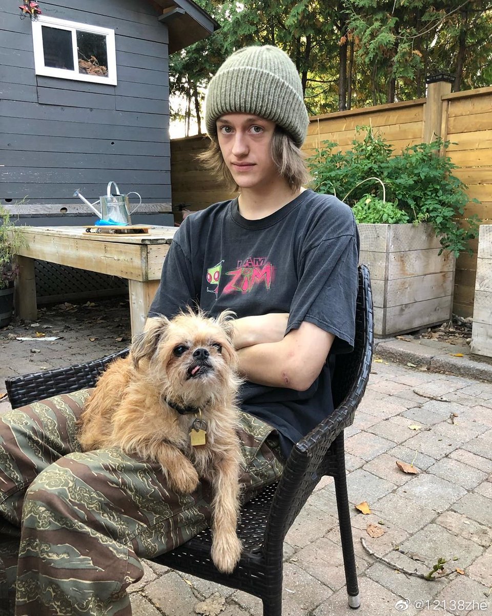 BlaisingBard's tweet photo. Percy with animals though 🥰🥰

#percyhyneswhite #percy https://t.co/zqol5f8pbj