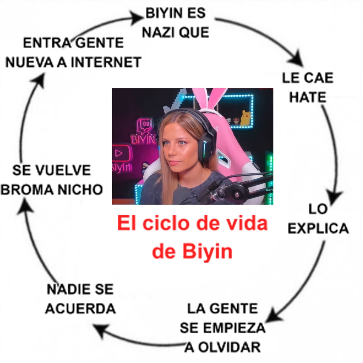somier_es's tweet photo. el ciclo de vida de biyin resumido https://t.co/lnJBJSS1g5