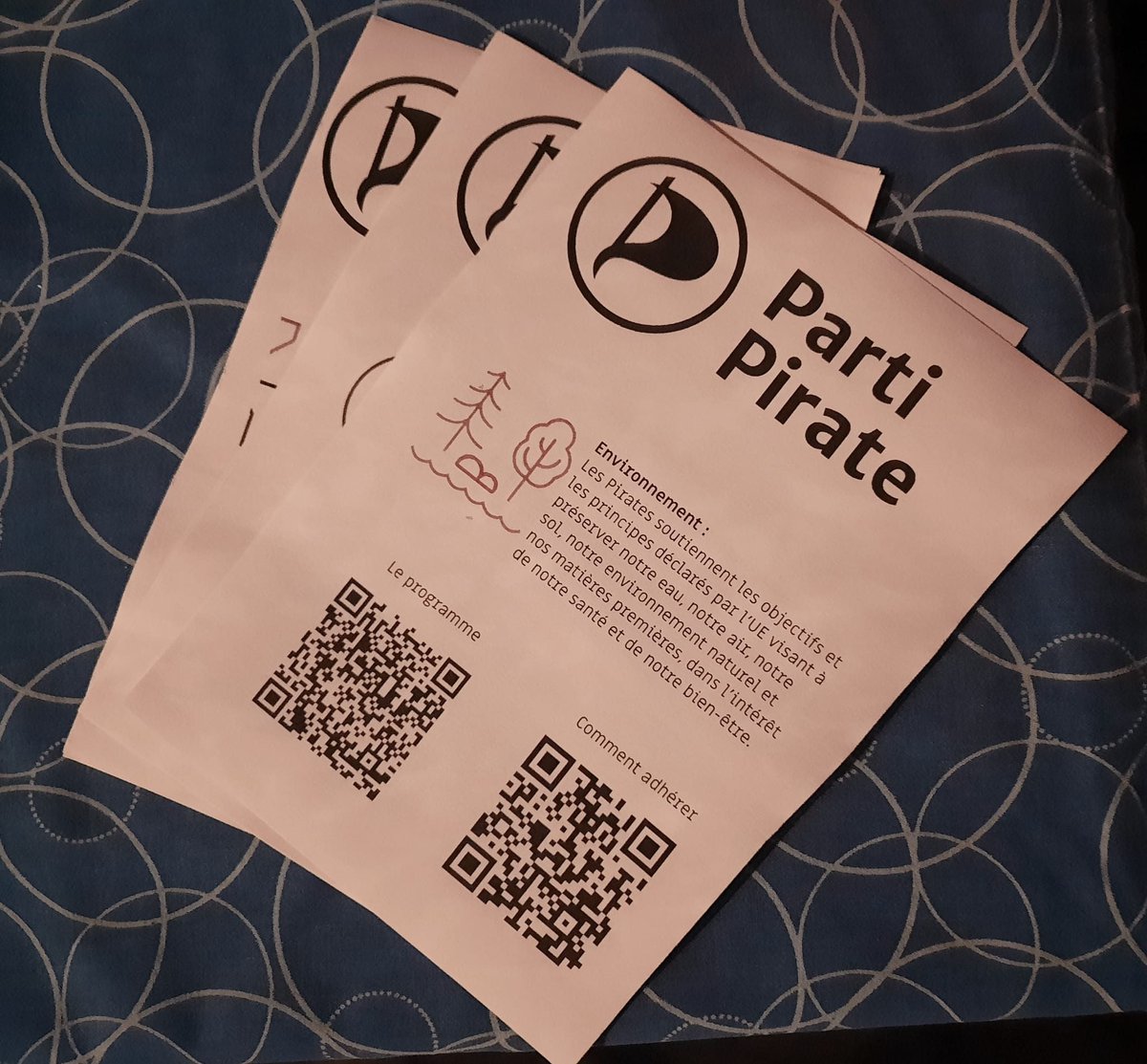 PartiPiratePaca tweet media
