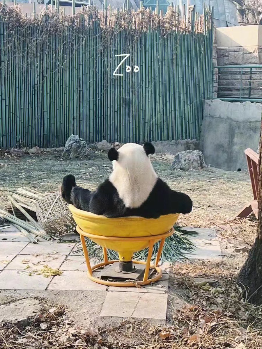 翘脚晒太阳，会还是你会👍🏻
