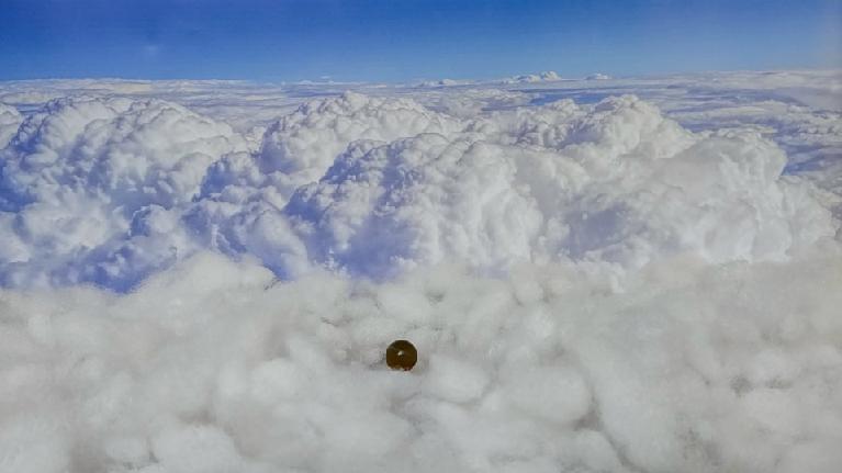 opensea.io/es/collection/…