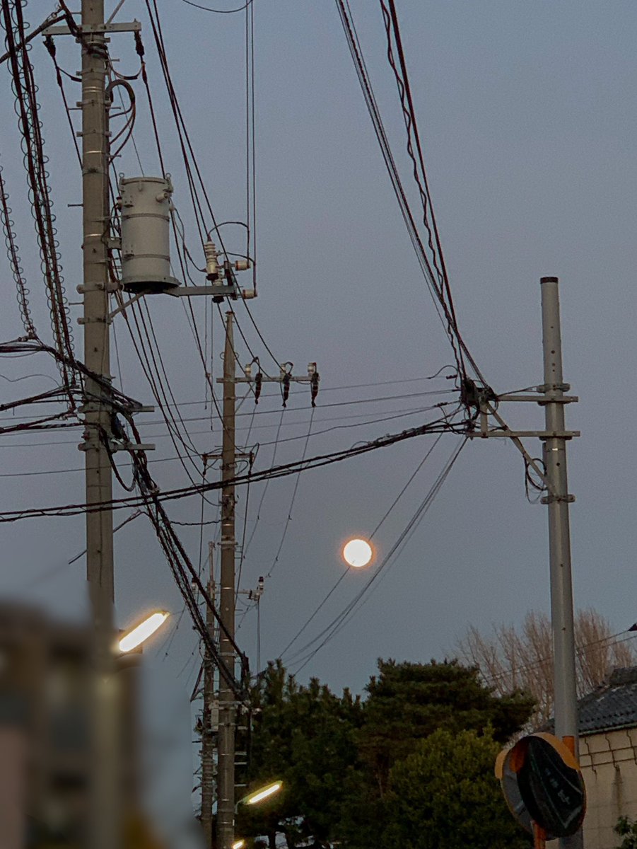 ゆすけsun tweet media