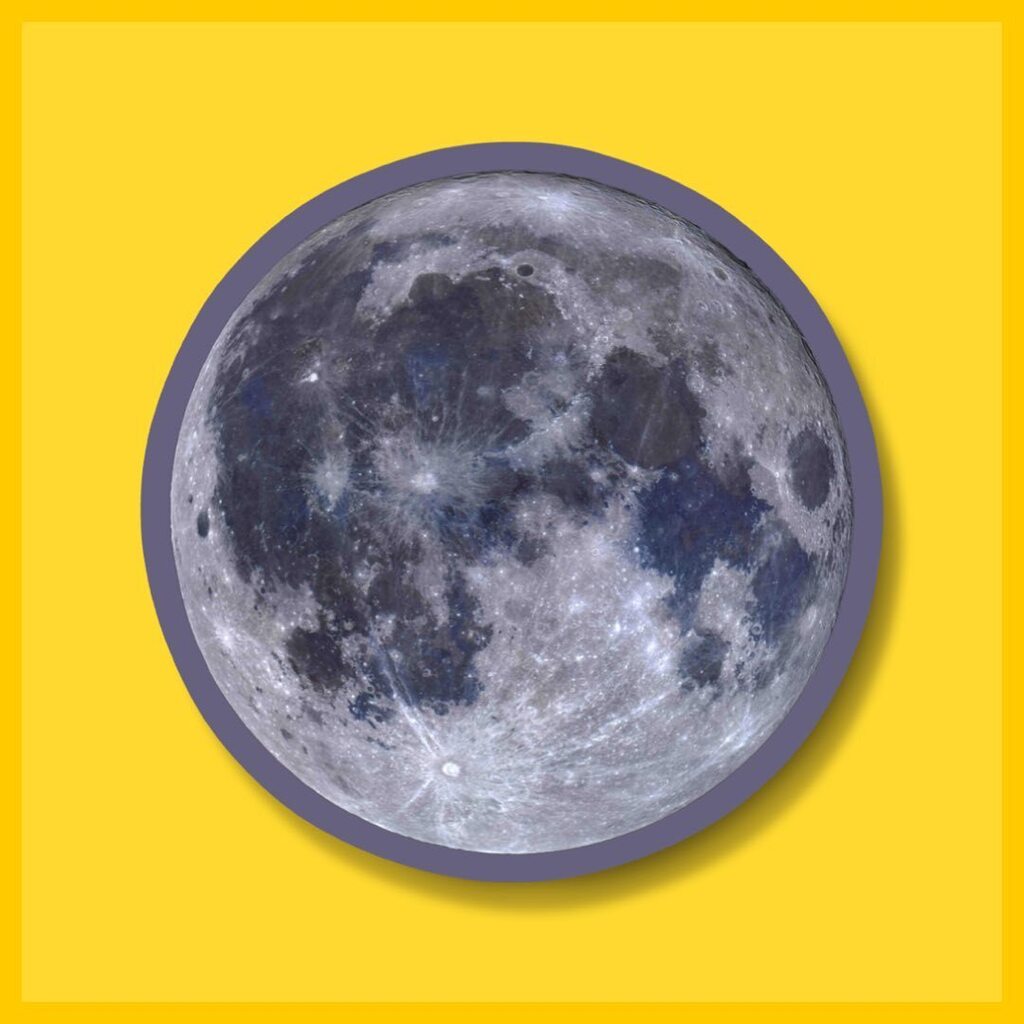 @OneSunRAE tweet media