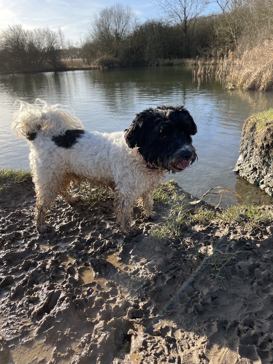 I’ve taken back control pals! Great morning with my pal Ebenezer and a trial of a new foot washing gizmo 👍👍