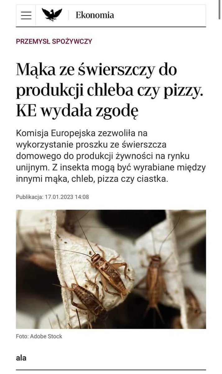 RafalPiech_'s tweet photo. Jak się na to zapatrujesz?
To nasza przyszłość bez mięsa, a w zamian robaczki. https://t.co/tv8naYM5Om