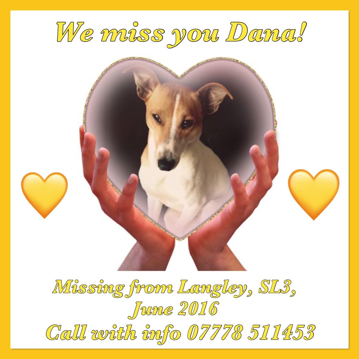 Please #Reweet Dana’s photo and #getdanahome 

Full story and appeal below 👇 

youtu.be/HaMq2nn5ac0