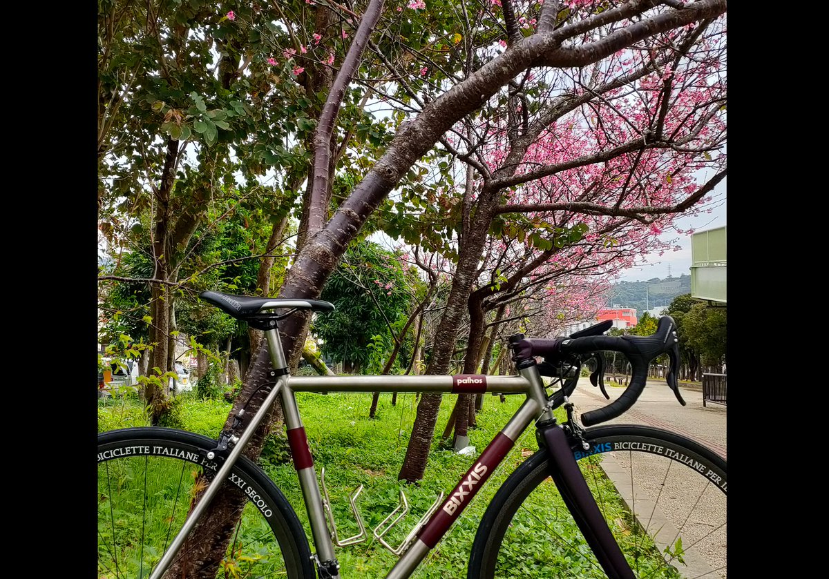 bixxisjapan's tweet photo. 続・一足早く春を先取り🙂
#いつかはBIXXIS
#bixxis
#bixxisjapan
#pathos
#prima
#epopea
#fronda
#steelbikers
#steelbike
#madeinitaly
#handmadeinitaly
#handmadebicycles
#titaniumbike
#roadbike
#bicycles
#自転車 https://t.co/aOBhiL7yhR