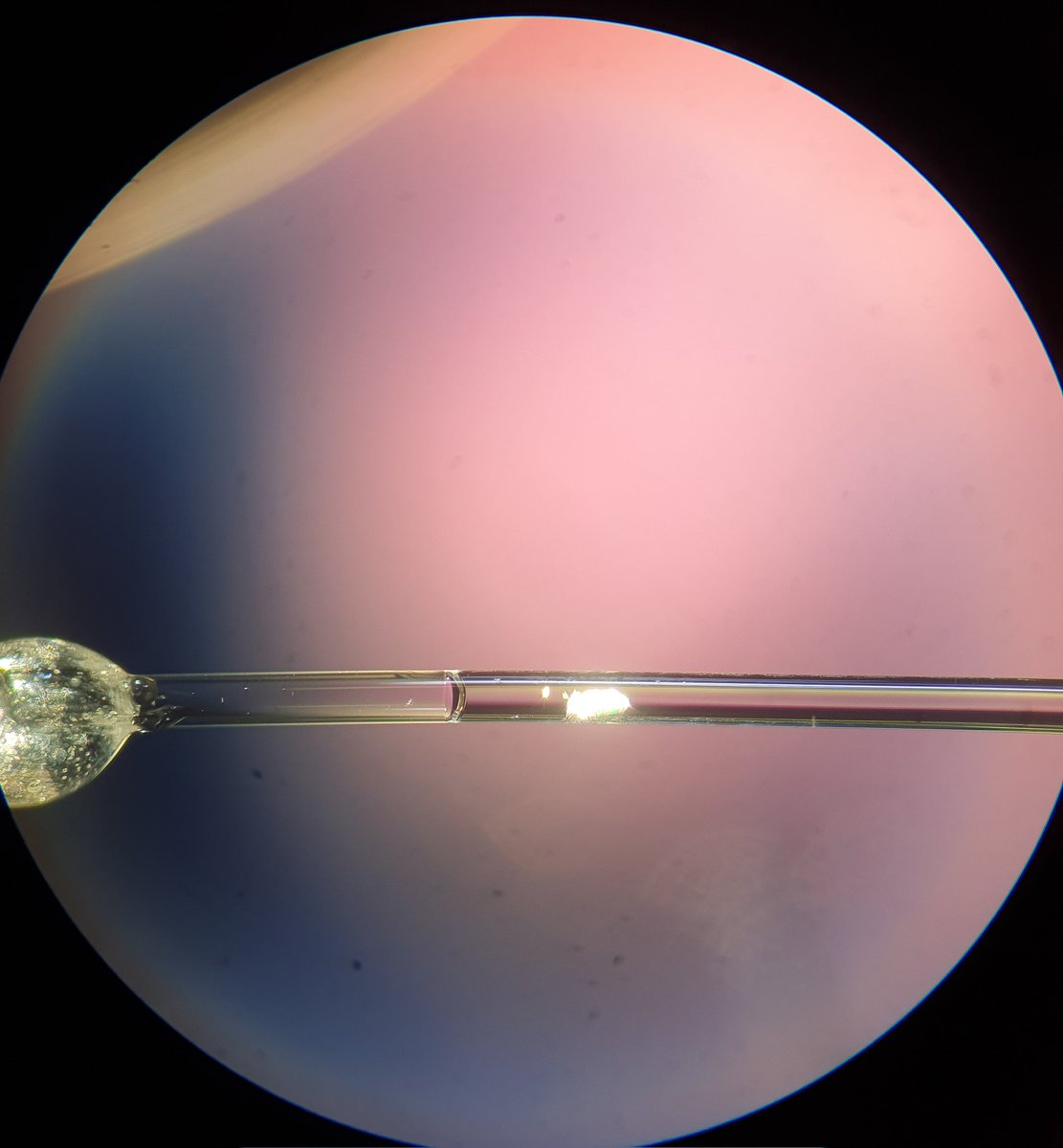 MaticLozinsek's tweet image. Doing some exciting in-situ crystallization at @UniBielefeld
#RealTimeChem #CrystalStructure