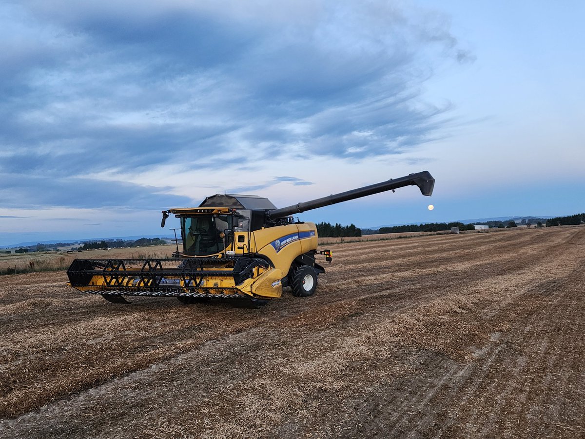 Derek de Stacpoole tweet media