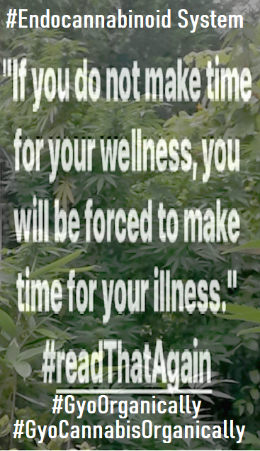 WinstonMatthews's tweet photo. #PlantSeeds #CannabisIsAPreventiveMedicine #GrowCannabis #LetUsGrow #Growing4Change
#GyoOrganically
#Growing2Change #GyoCannabisOrganically #GrowCannabis4Replacement
#YourFoodIsYourMedicine #EndoCannabinoidSystem
#EatCannabis #eatyourgreens #EntourageEffect https://t.co/7DlpSeOsjJ