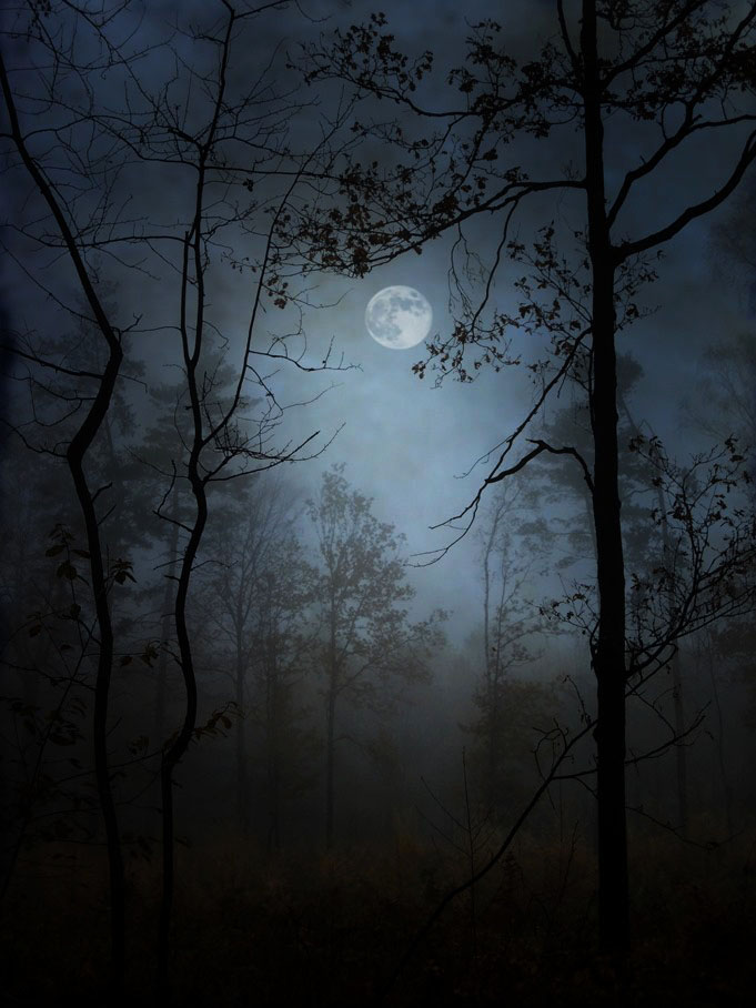 Du bist mein Mond, und ich bin deine Erde;
Du sagst, du drehest dich um mich.
Ich weiß es nicht, ich weiß nur, daß ich werde
In meinen Nächten hell durch dich.

Friedrich Rückert 
aus: Du bist mein Mond