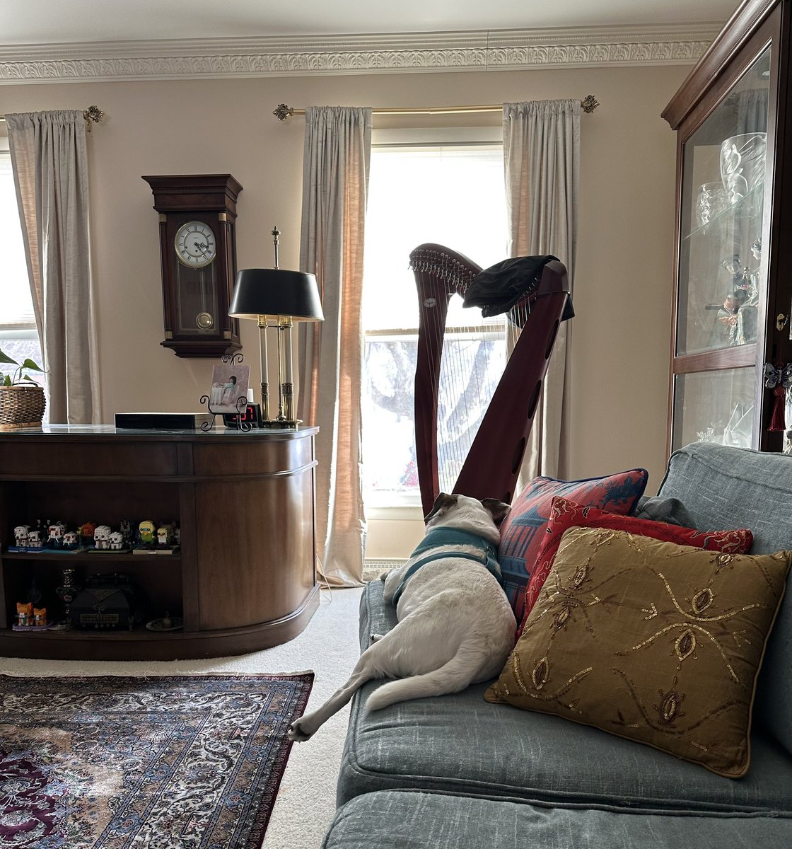 Ace contemplating spring and warmer weather.  The “leg out” is a common jack russel maneuver but always makes me laugh.   Happy Sunday to all….may we all be as relaxed as Ace!   #jackrussel #dogslife