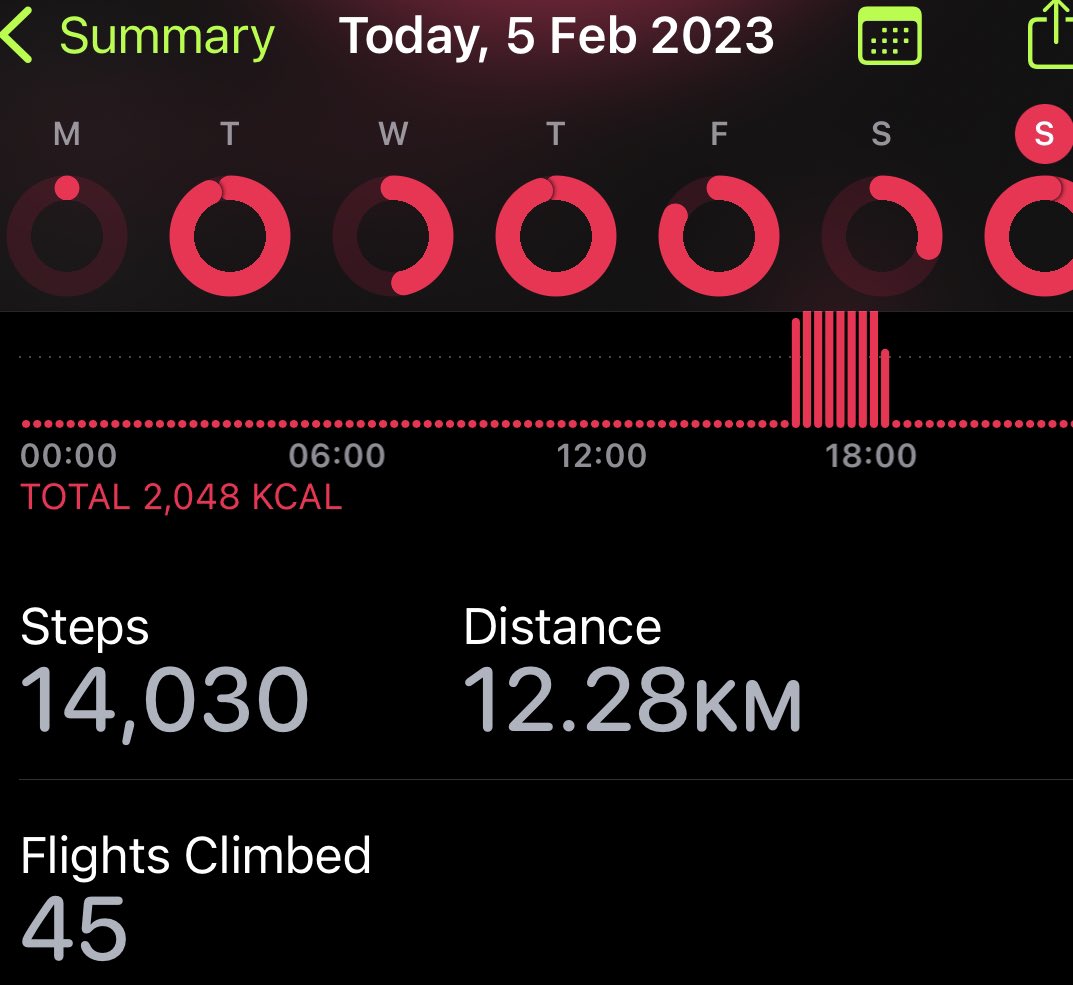 patuhaire's tweet photo. Today’s walk in solidarity with @Akeda4 #JoeWalker who is walking from Kampala to Mbale to raise awareness on road safety with #TooYoungToDie Also, thinking of friends from #TwitterRunningClub who are climbing Mt.Elgon. I stick to the small stuff, and capture beauty along the way https://t.co/vVaxr1Ro0W