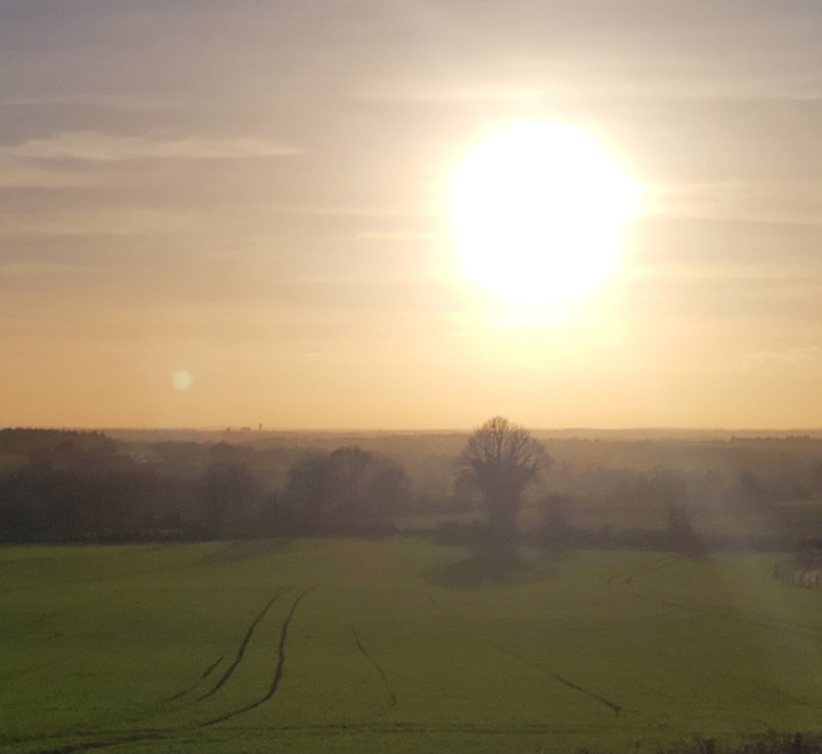 Au premier plan du blé qui pousse tranquillement pour faire du pain, en arrière plan le beau paysage de <a href="/lamayenne/">La Mayenne, le Département</a> avec un joli soleil d hiver.