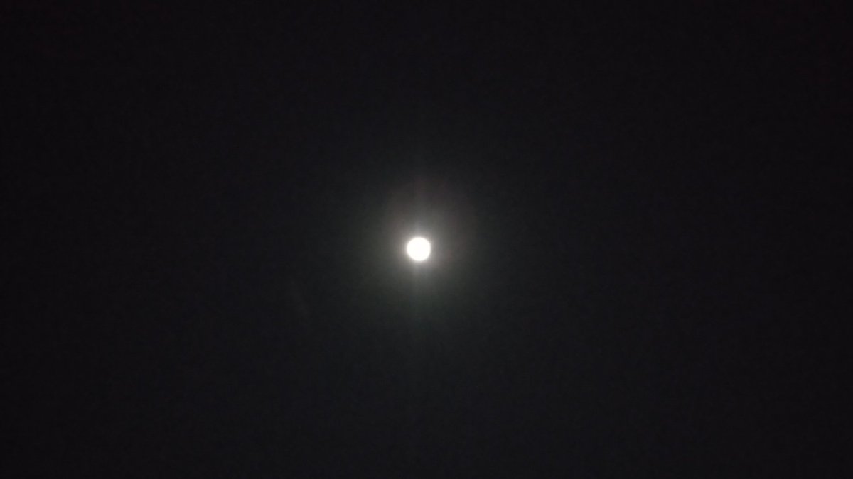 suniketroy's tweet photo. SSRians Love For Sushant 👑
Hello Moon King ♥️ @itsSSR https://t.co/078PUAzq3c