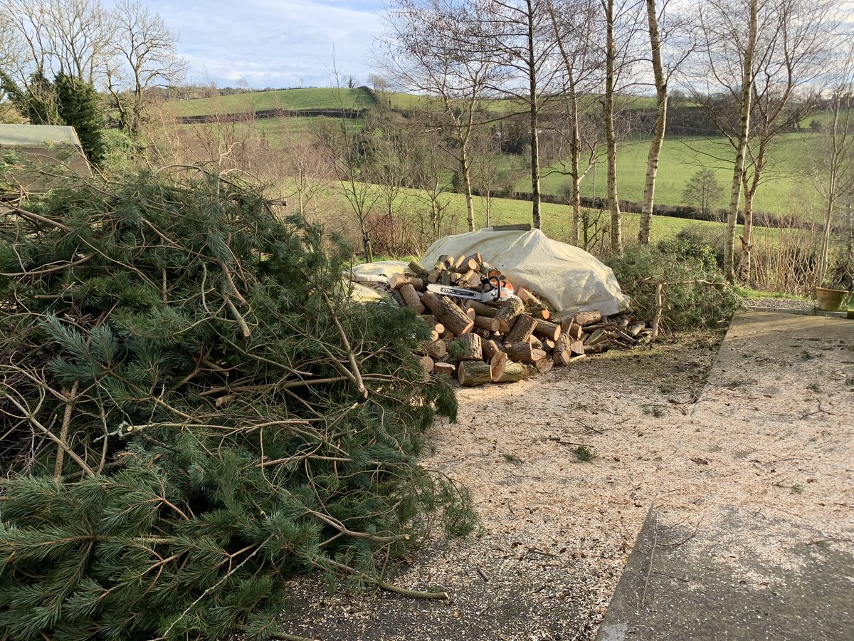 siliconcto's tweet image. Her: let’s plant 1,000 trees on that hillside
Him: cool, less grass to mow and no future work for me either
…15 years pass happily…
Her: let’s talk about our pollarding strategy
Him: that’s not even a real word, &amp;lt;checks Google&amp;gt;, dammit 🤬