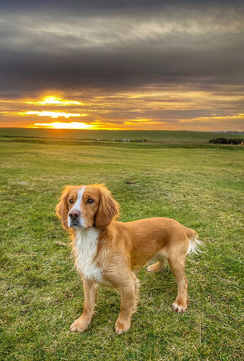 Nice timing for ending the walk at #sunset