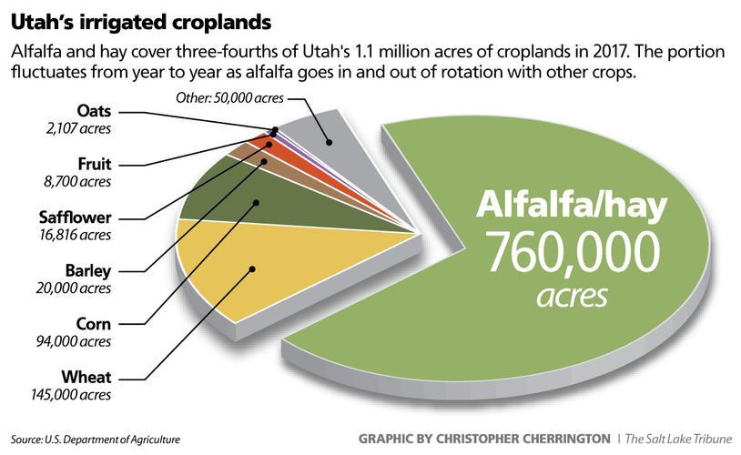 In fact, more than 75% of all Utah cropland is growing alfalfa and hay to feed cattle.

Two and a half hours of water usage in one single field of alfalfa is the same amount of water used by a family of four...for a year.
