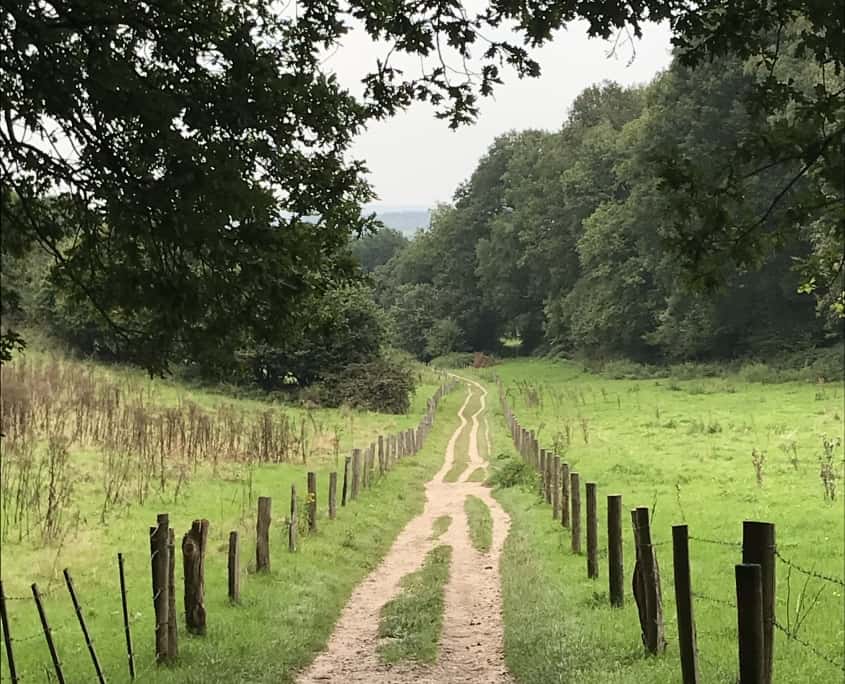 Vandaag is onze nieuwe reeks van 10 stiltewandelingen gestart, waarmee we in een jaar tijd de hele Walk of Wisdom rondlopen. We wensen alle deelnemers een mooie tocht samen!
(De reeks is volgeboekt). Foto: Marja Hakkoer, Elyzeese Velden, Heerlijkheid Beek