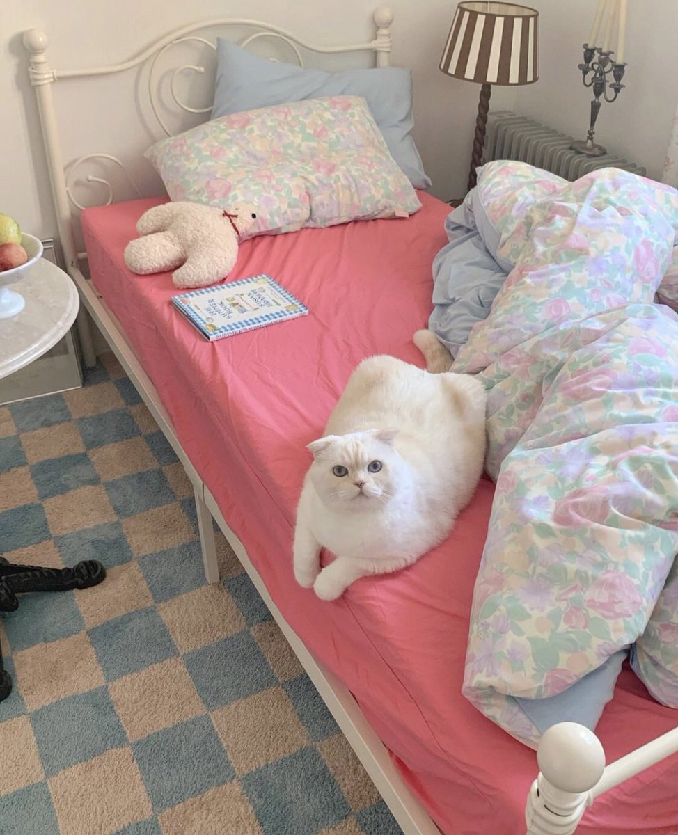 인스타서 유명한 고앵이 순무 집사분이 운영하시는 홈인테리어 계정인데 진짜 너무이뿜