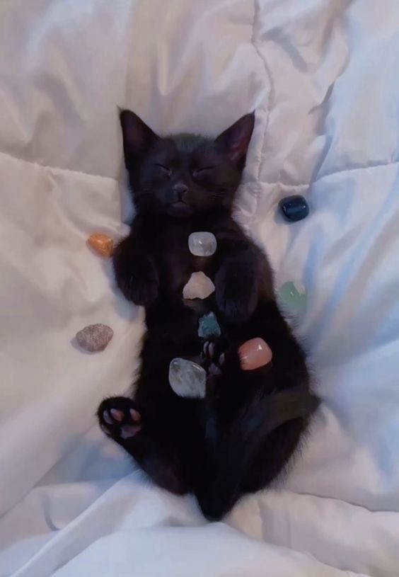 hum_nova's tweet image. sie i tell,d u i wa.z majic