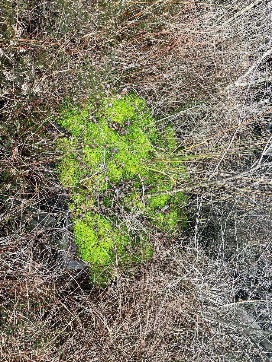 Transition Wilmslow tweet media