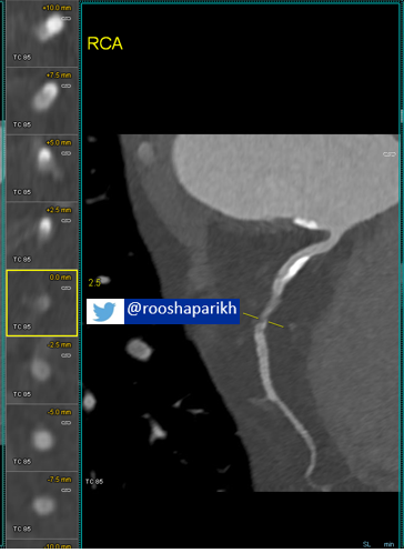 Roosha Parikh tweet media