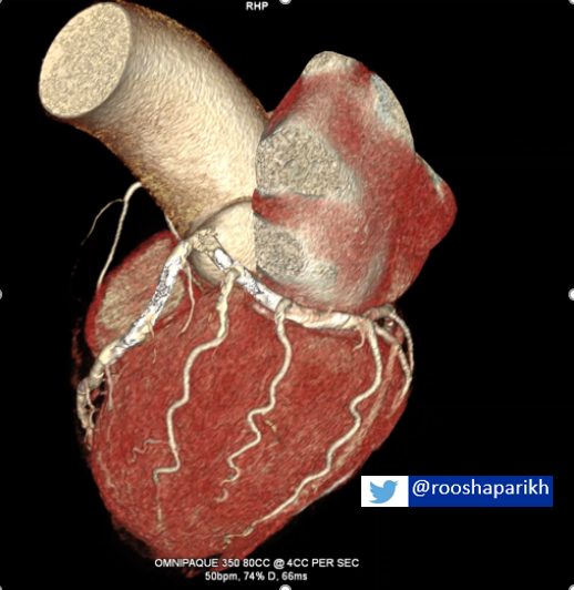 Roosha Parikh tweet media