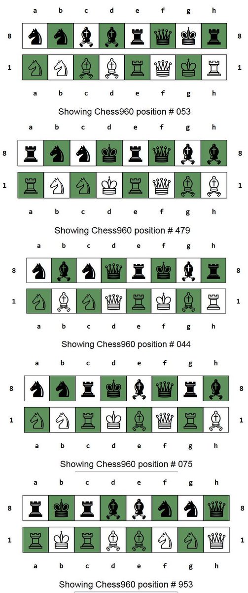 DidacticaMadrid's tweet photo. Posiciones iniciales en alguna de las rondas del Torneo Chess960 del pasado día 4:
#madridchess #chessmadrid #ajedrez960 #FischerRandomChess #Chess960 #Chess960Madrid #madridajedrez #ajedrezmadrid #chess #ajedrez #chessgame #aprendeajedrezdeverdad #ajedrezdeverdad https://t.co/N2dydiIMR7