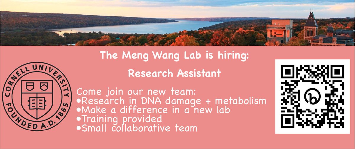 We are #hiring 🧑‍🔬! Only a few more weeks until I start my new 🧬DNA damage lab at @Cornell @CornellCALS @CornellNutri. I'm looking for a research assistant to join and help us lift off. Apply today: bit.ly/3x26RyI PM me for more info!