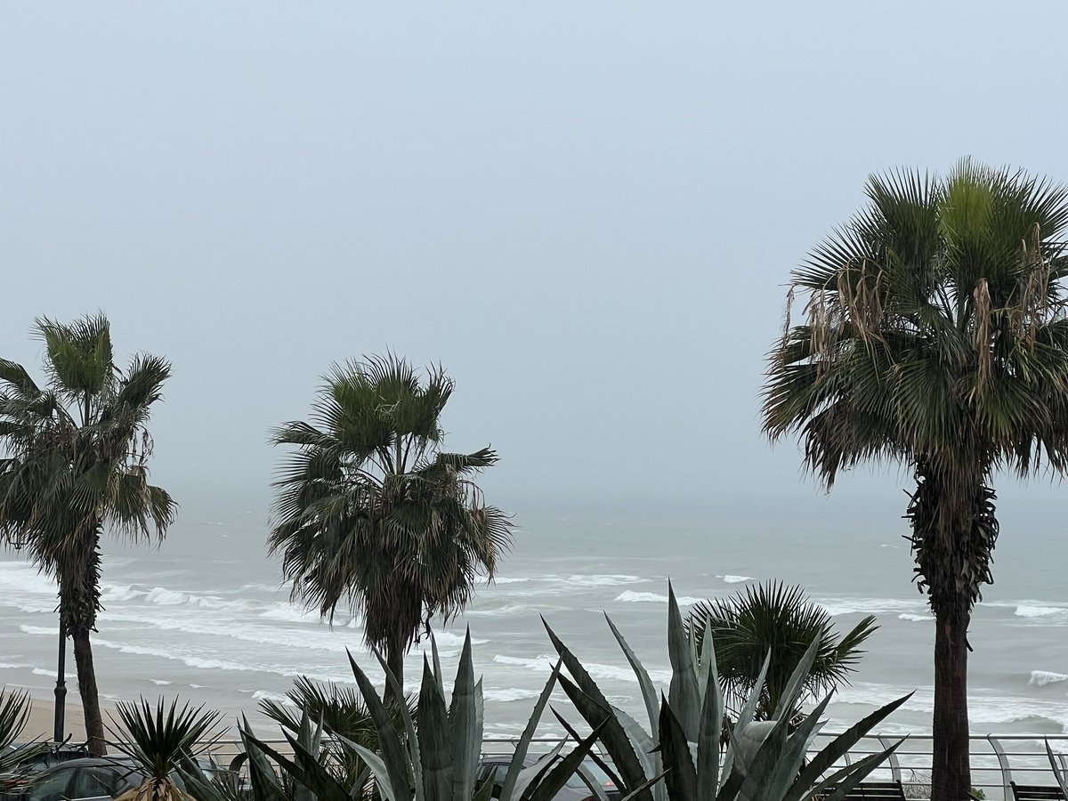 hallamakarem's tweet photo. the waves raging … 
the streets flooding …

Earth clearly saying where is your Balance? The balance has been lost. 

I’m responding through Nature with Extreme - reflecting you back

Balance - time to Be Balance

#nCreativeLeadership https://t.co/wU02RL5268