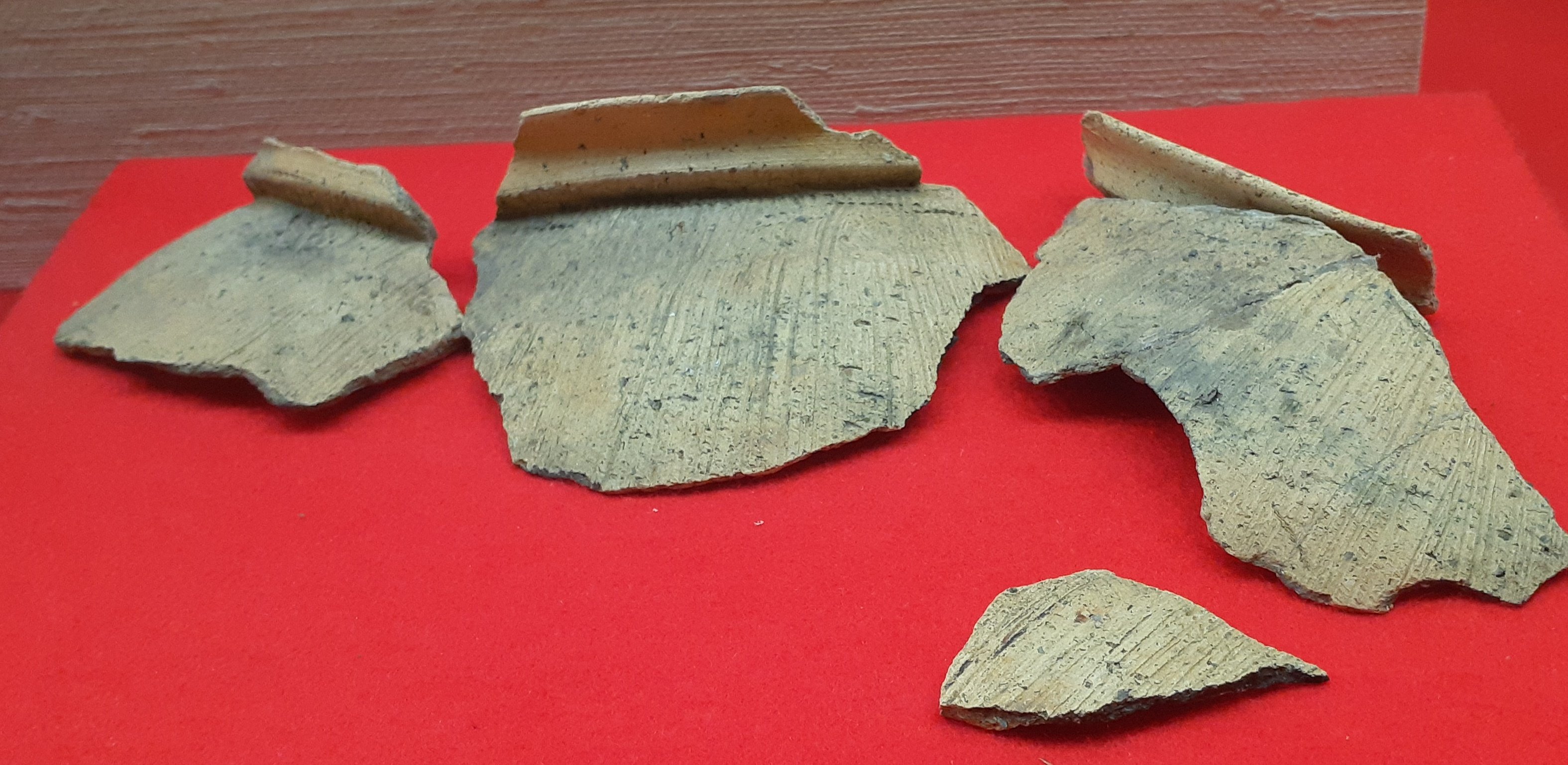 古代人？ on X: 
